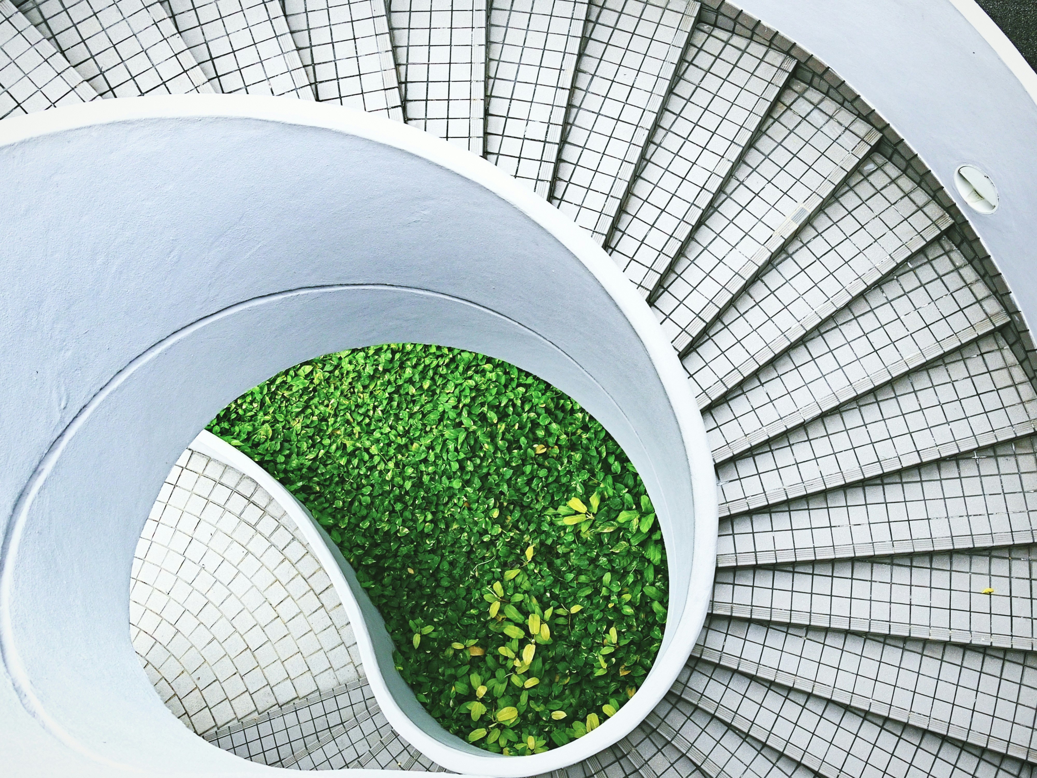 green grass on white spiral staircase